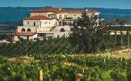 Cattunar Wine Residence, Nova Vas near Brtonigla