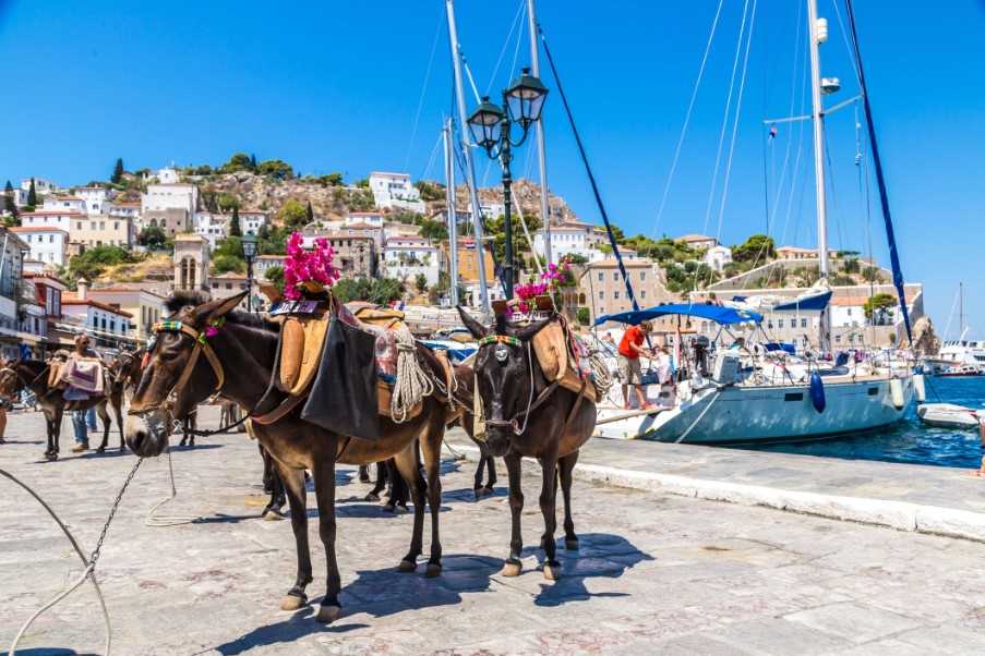 The local transport on Hydra