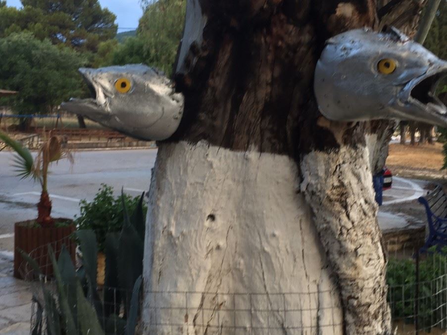 Something fishy on the trees!