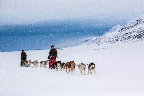 Dog sledding on a wintry Landscape, Svalbard