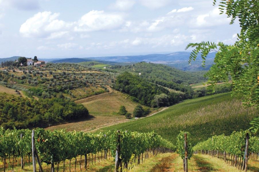 Tuscan countryside and vineyards