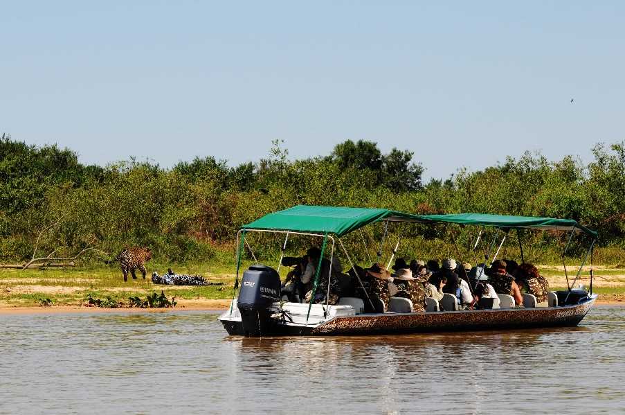 River cruise speedboat, Northern Pantanal Cruise