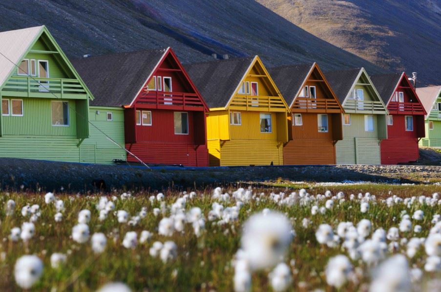 Colourful wooden houses of Longyearbyen