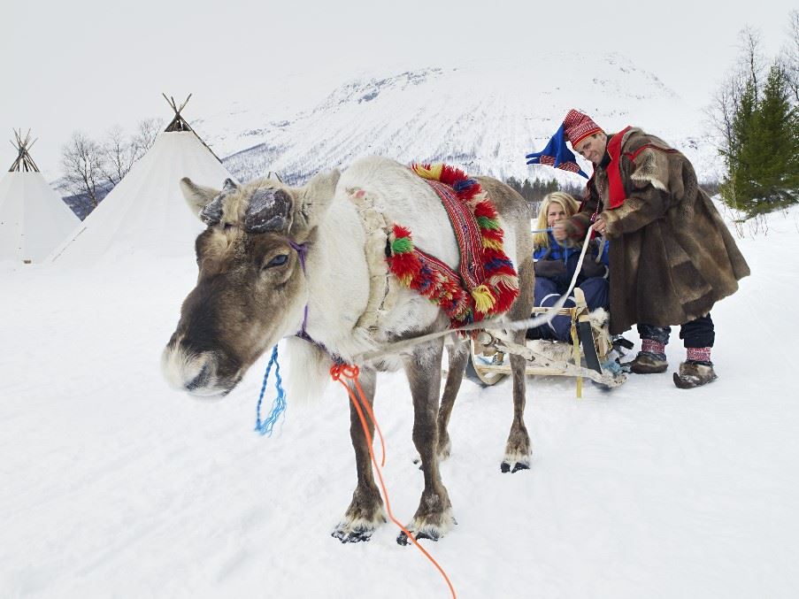 Reindeer sled tour, Tromso, Norway