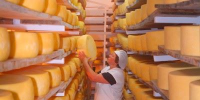Cheese Factory, Sao Jorge