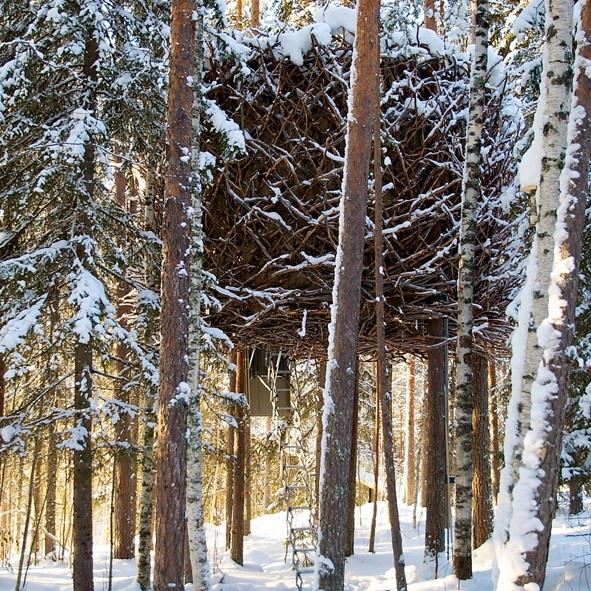 Birds Nest, Treehotel, Swedish Lapland