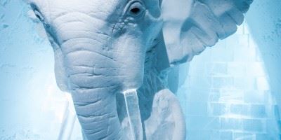 Elephant ice sculpture, ICEHOTEL, Swedish Lapland