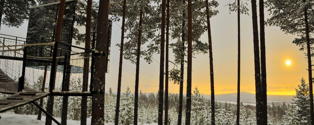 Treehotel, Swedish Lapland,