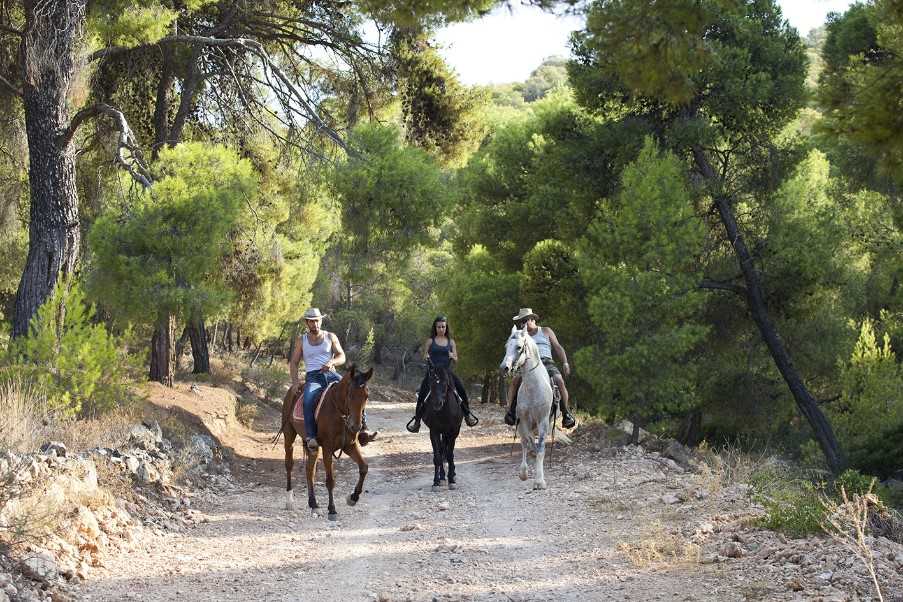 Horse riding on Agistri, The Saronic Islands, Greece