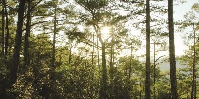 Troodos Mountains, Cyprus