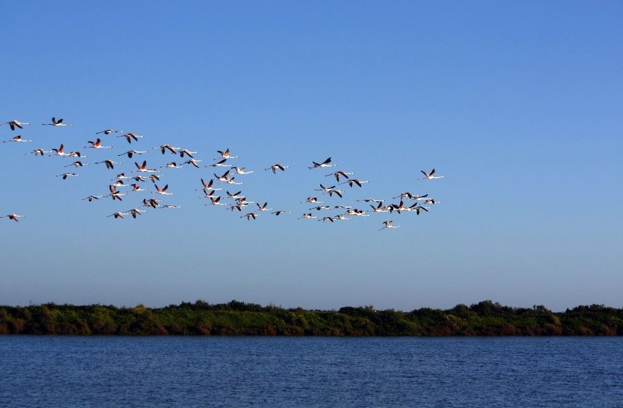 Ria Formosa Natural Park