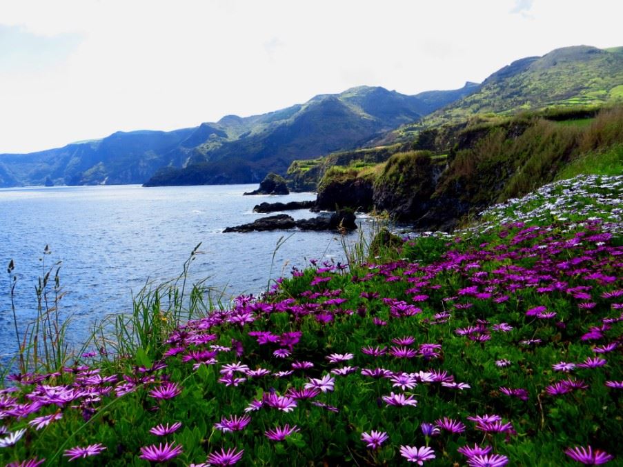 Flores, the Azores
