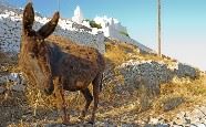 Folegandros, Cyclades, Greece