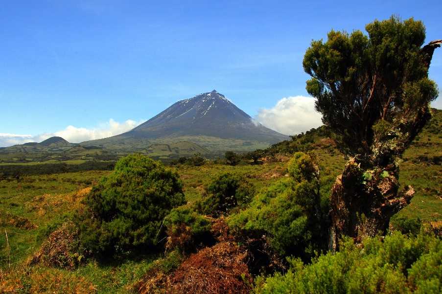 Pico, Azores