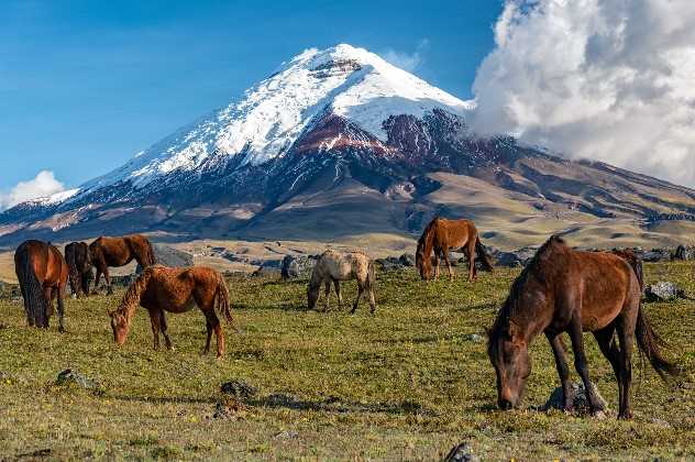 Cotopaxi Volcano
