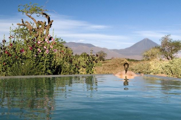 Pool, Tierra Atacama Hotel and Spa, San Pedro de Atacama, Chile