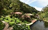 El Trogon Lodge, San Gerardo de Dota, Costa Rica