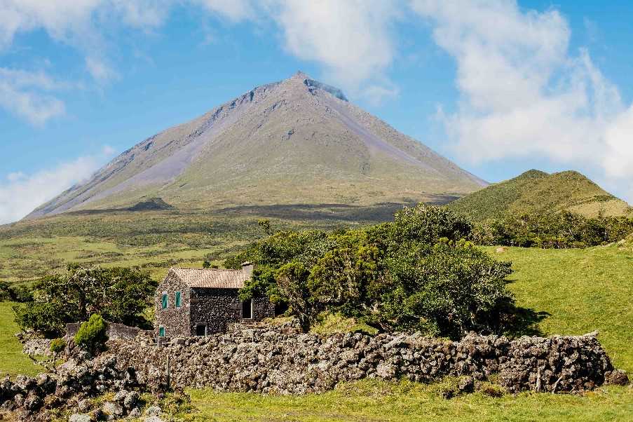 Pico