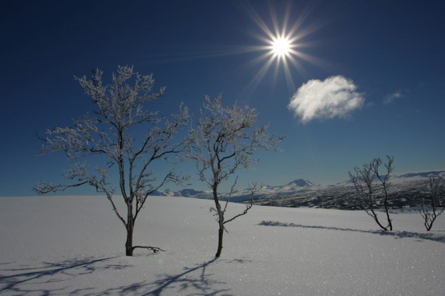 Tromso