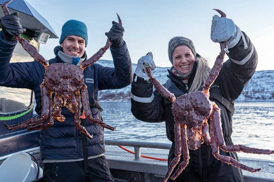 King crab fishing, Alta, Northern Norway