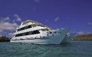 Cormorant, Galapagos Island Cruise