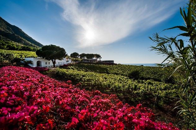 Capofaro Malvasia and Resort, Salina, The Aeolian Islands