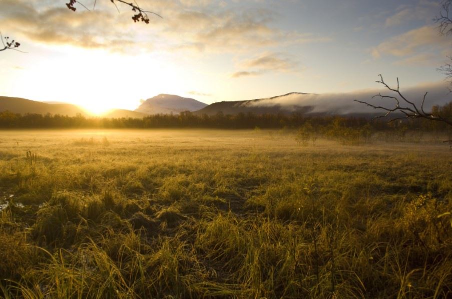 Midnight sun in Northern Norway