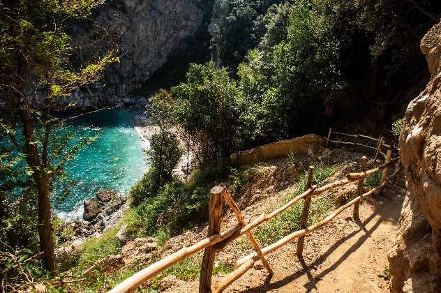 Walking in the Pelion