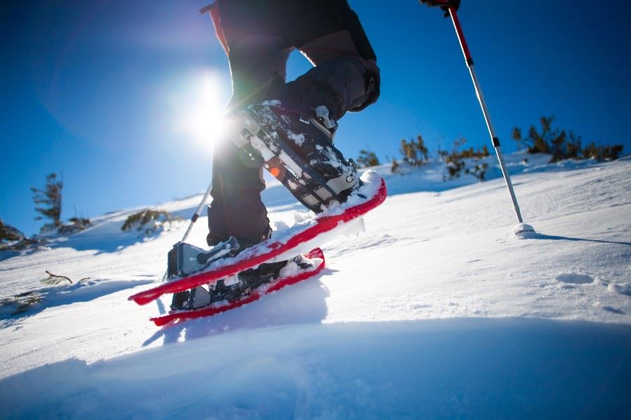 Snowshoeing