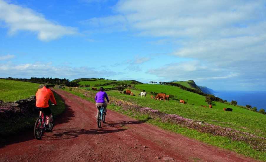 Guided bike tour