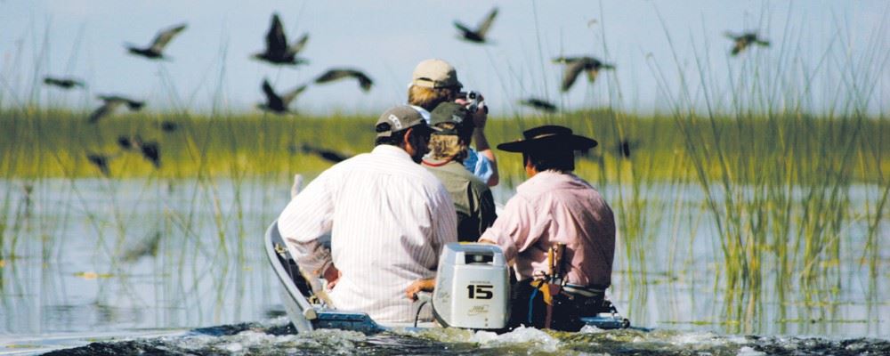 Esteros Del Ibera, Argentina