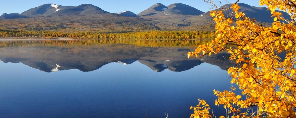 Autumn in Swedish Lapland, Sweden