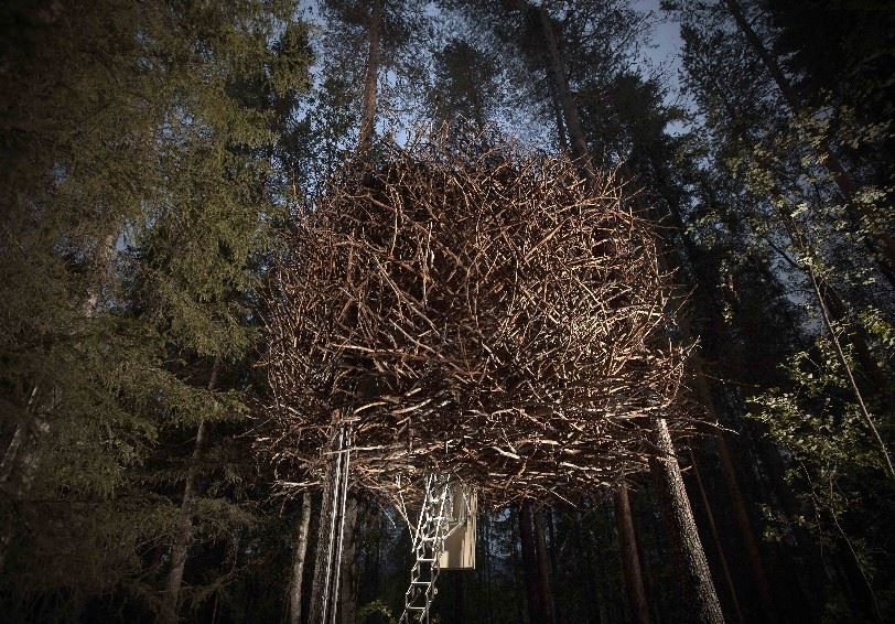 Birds Nest, Treehotel