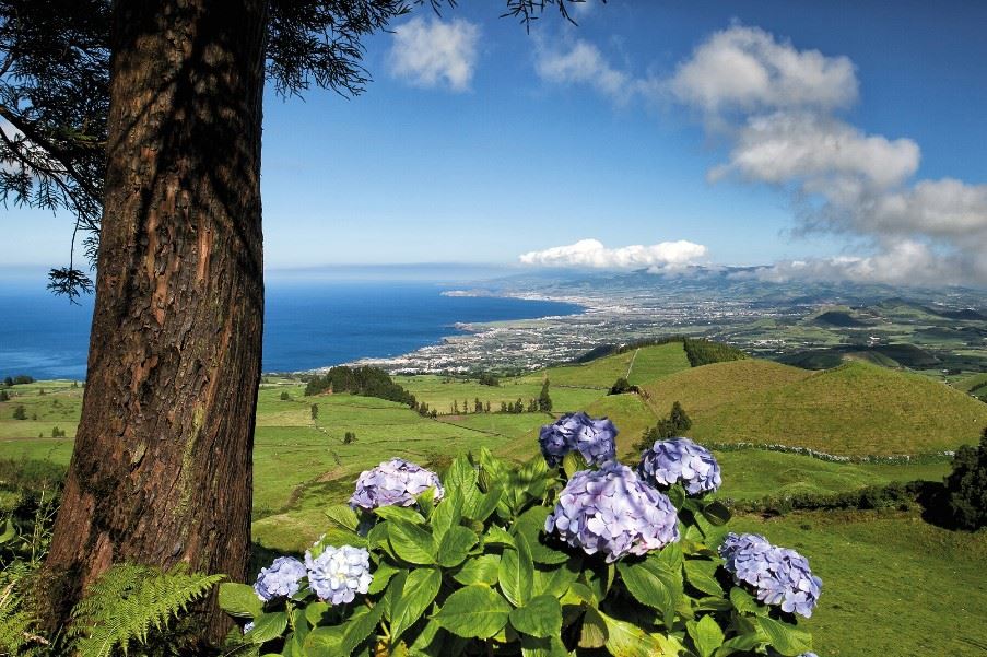 Sao Miguel, The Azores