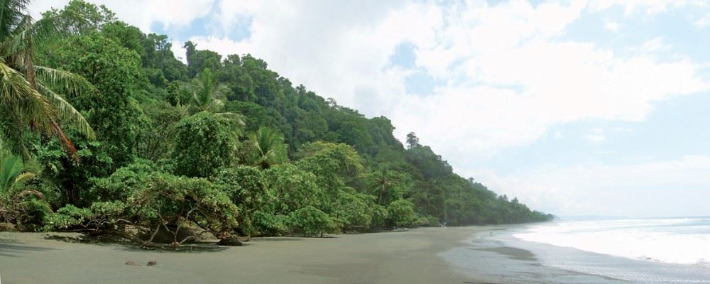 Osa Peninsula, Costa Rica