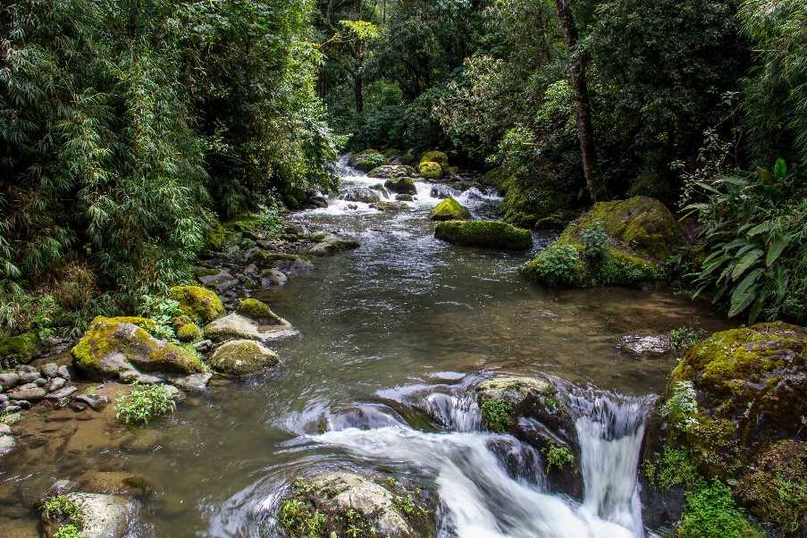 Savegre River, San Gerardo de Dota