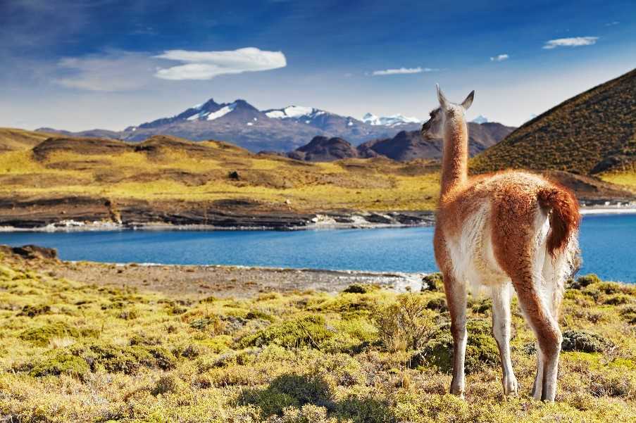 Torres del Paine