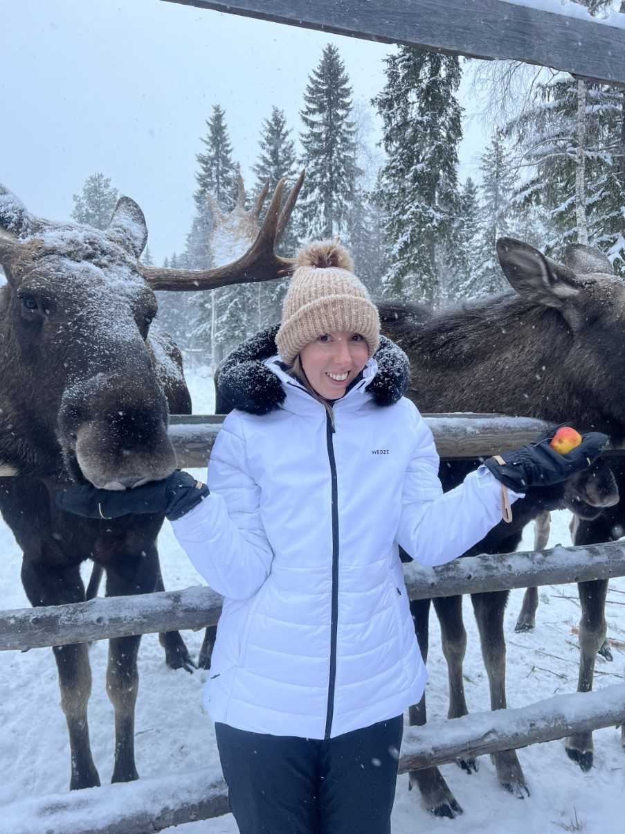Nicole feeding the moose at Cape Wild