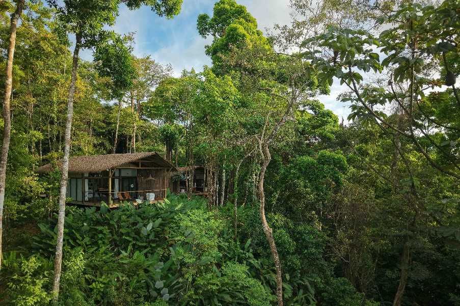 SCP Corcovado Wilderness Lodge, Osa Peninsula
