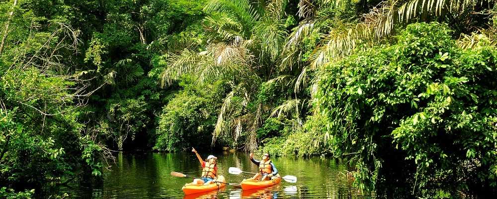 Tortuguero National Park, Costa Rica