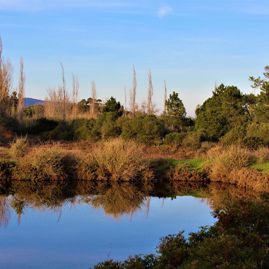 Ria Formosa National Park