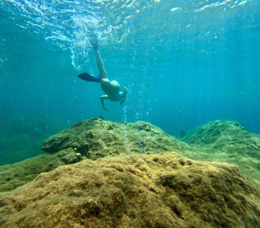 Snorkelling among the corals