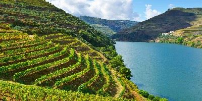 Douro Valley, Portugal