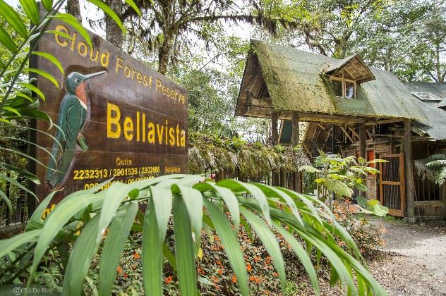 Bellavista Lodge, Bellavista Cloud Forest Resort, Ecuador 