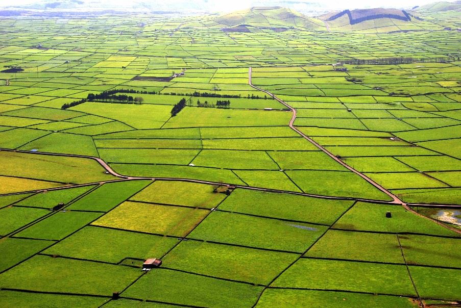 Terceira, The Azores