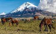 Cotopaxi Volcano