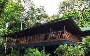 Selva Verde Lodge and Rainforest Reserve, Sarapiqui, Costa Rica