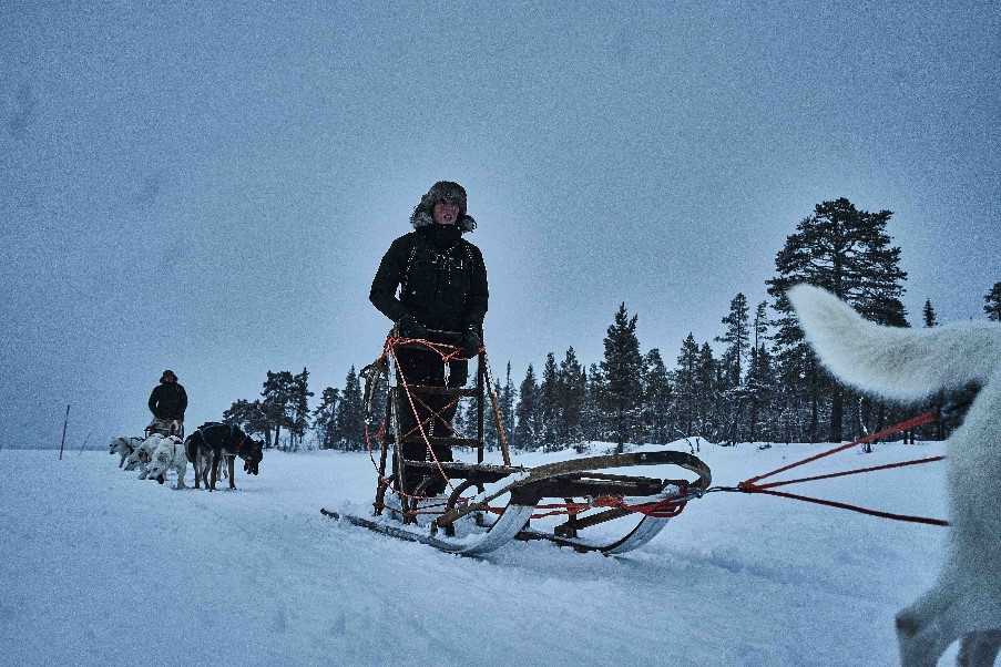Dog Sled Tour, Lapland Guesthouse