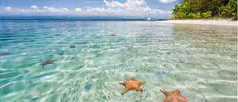 Starfish beach, Bocas del Toro, Panama