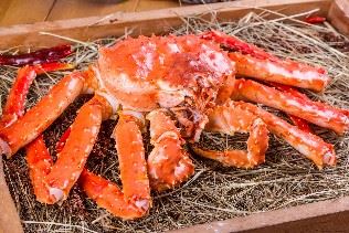 Arctic King crab, Kirkenes